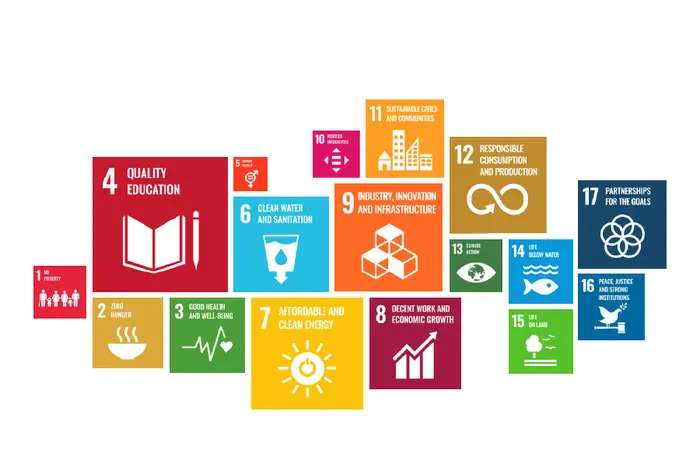 The SDGs