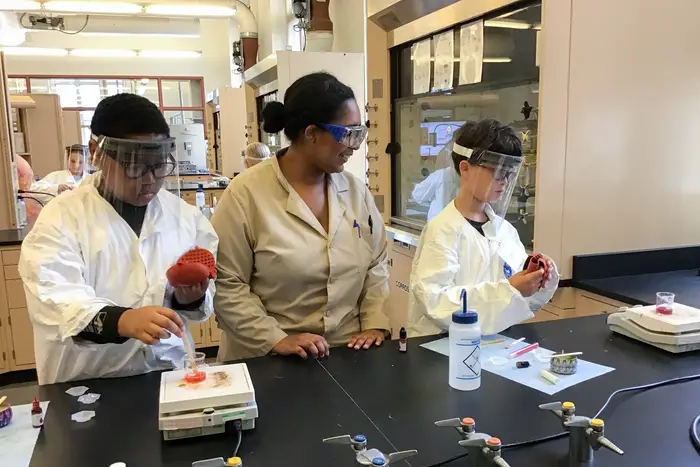 an adult and two children dressed in lab coats working at a lab table