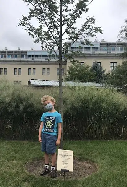 Tree planted in honor of Ann Baldwin Taylor.