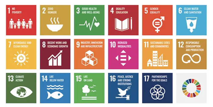 The 17 UN sustainable development goals.