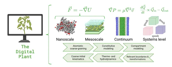 A graphic for the development of a plant “digital twin” that will enable rapid discovery of nanocarrier designs that enable efficient targeted delivery into plants. It will require the integration of models at different scales that capture the relevant biochemistry and biophysics at the nanocarrier-plant bio interface. Source: Nature 