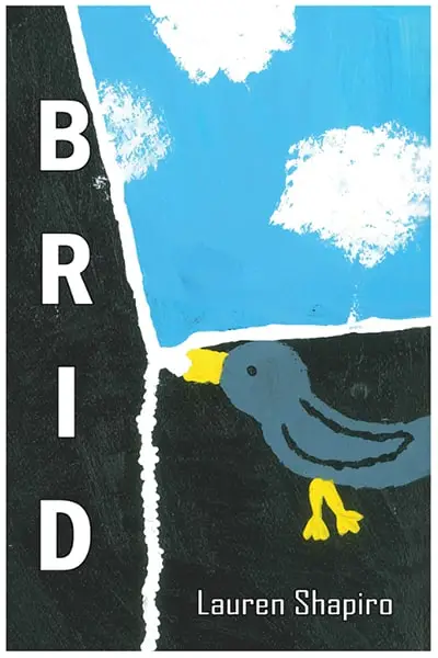 “Brid" by Lauren Shapiro.