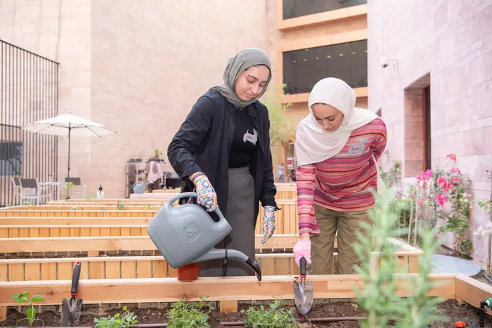 CMU-Q community members tend the new community garden, which recently opened and uses compost created from cafeteria food waste.