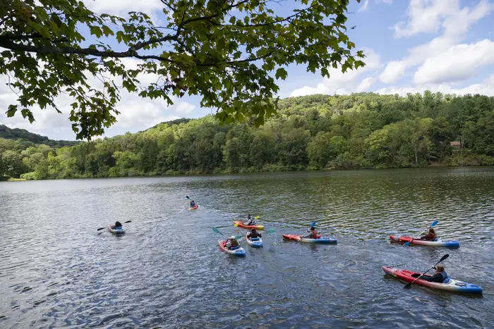 A group of Kayakers on a lake.