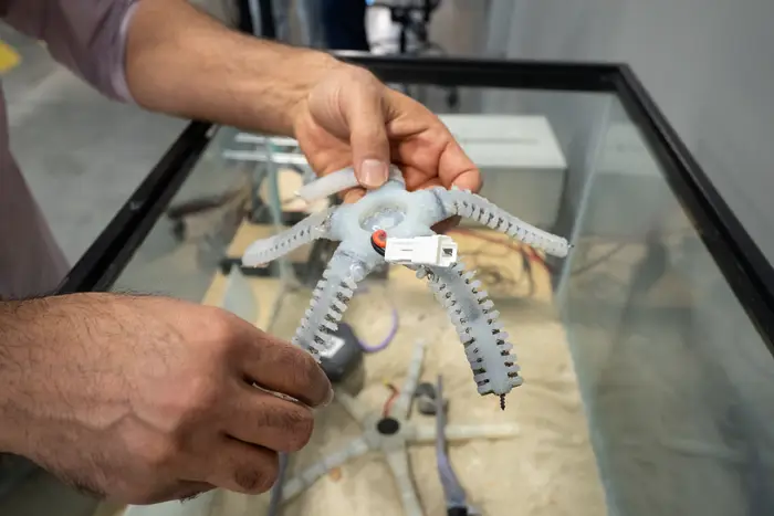 Majidi holds a motorless starfish-inspired robot created by the Soft Machines Lab.