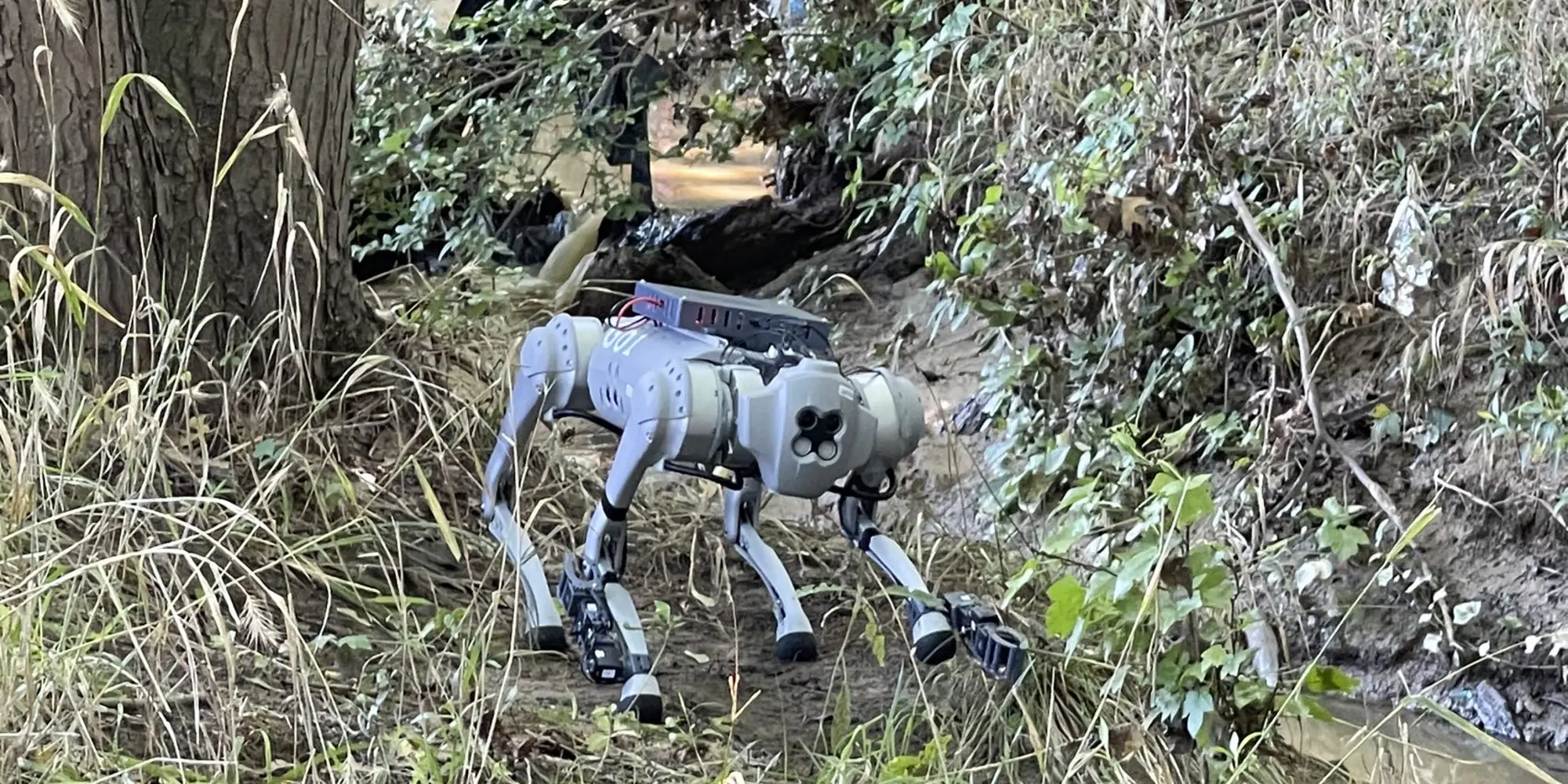 LocoMan, quadruped robot that can navigate challenging terrain