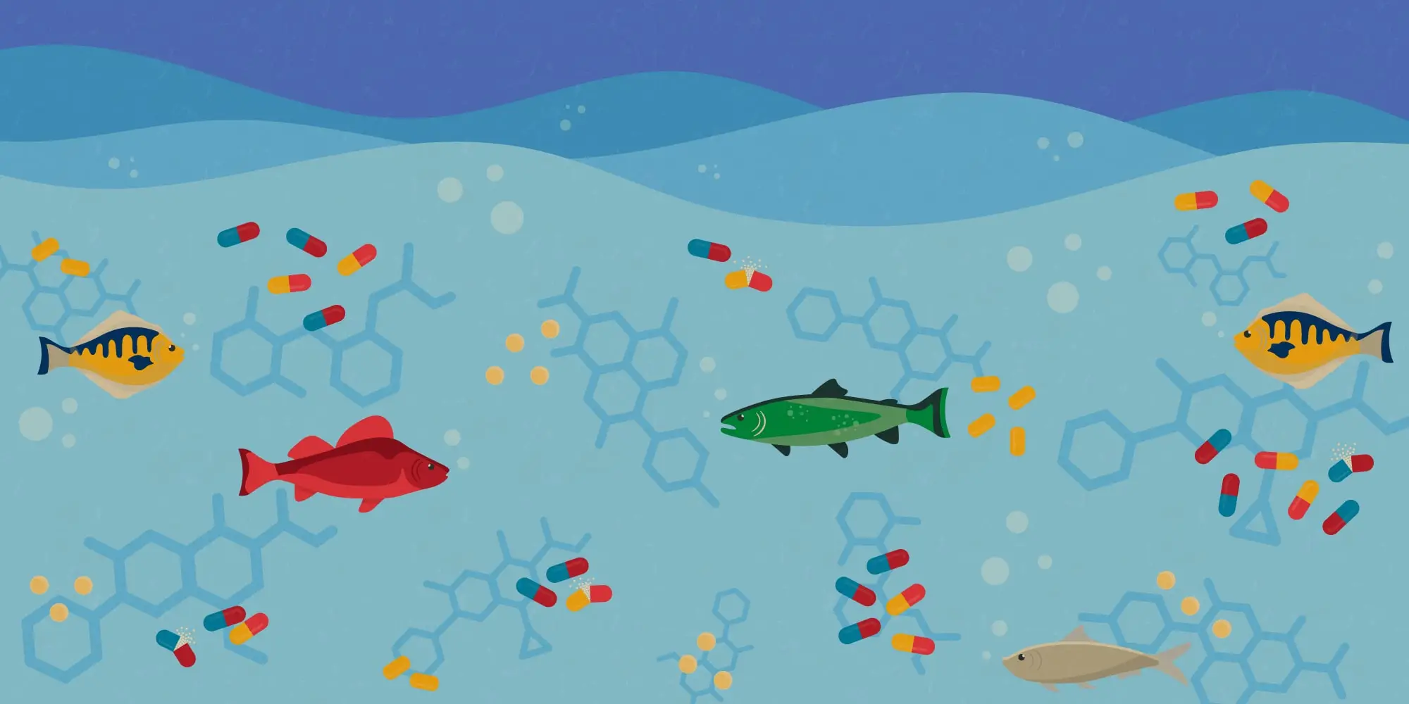 Graphic of fish swimming in water with pharmaceutical pollution