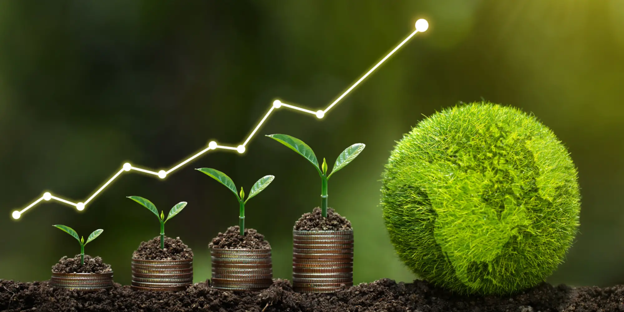 A stock image representing sustainability and growth.