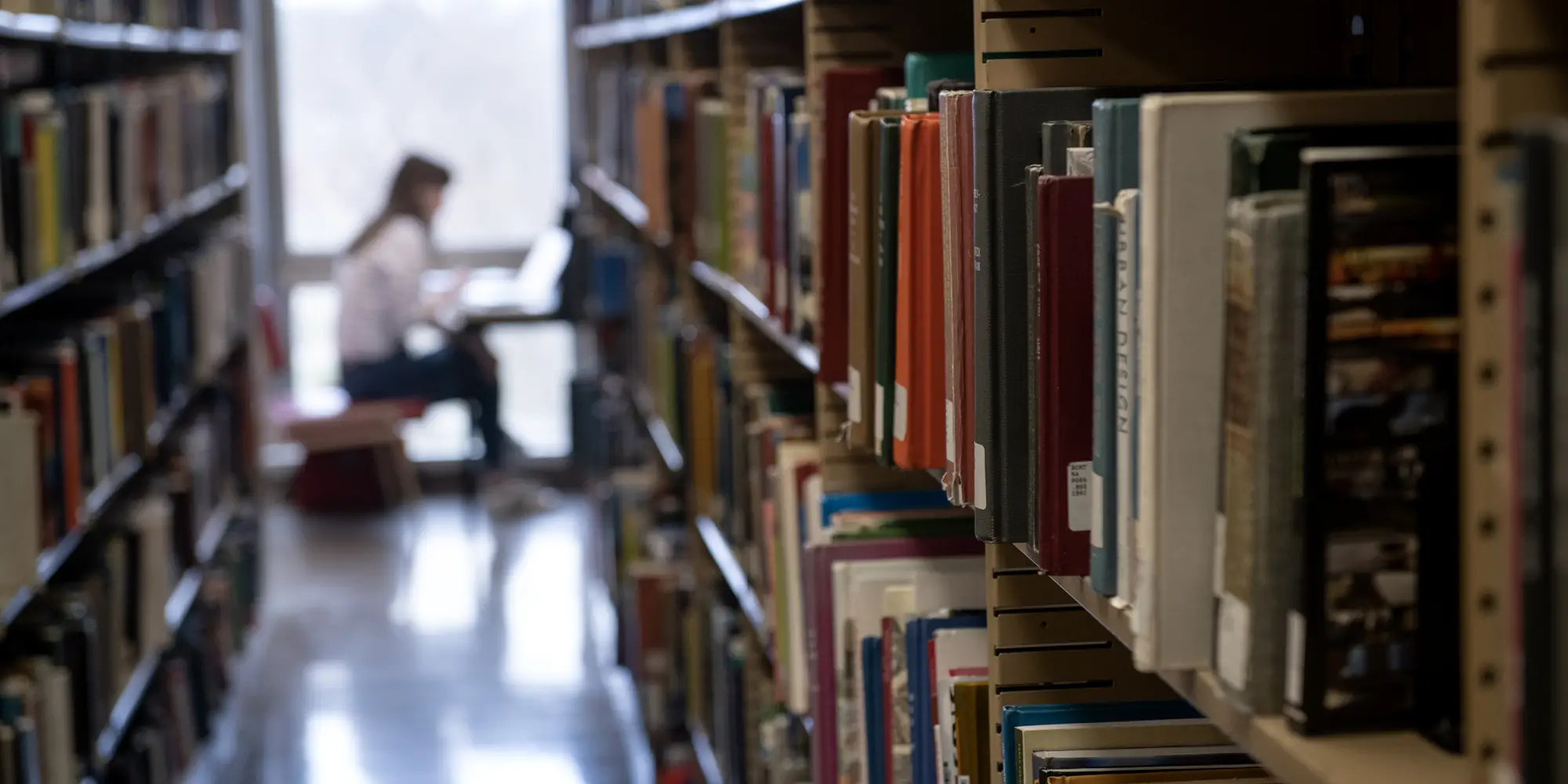 A student reading inside a library.