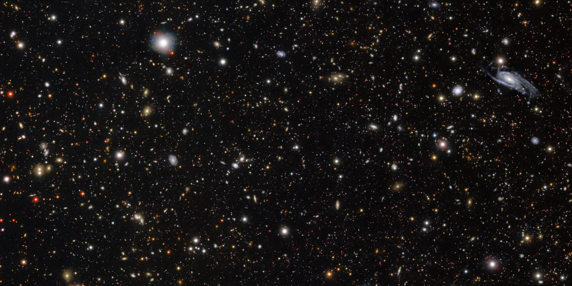 The supernova progenitor appears as a bright blue dot within the galaxy located in the middle of the upper third at the center of this image. 