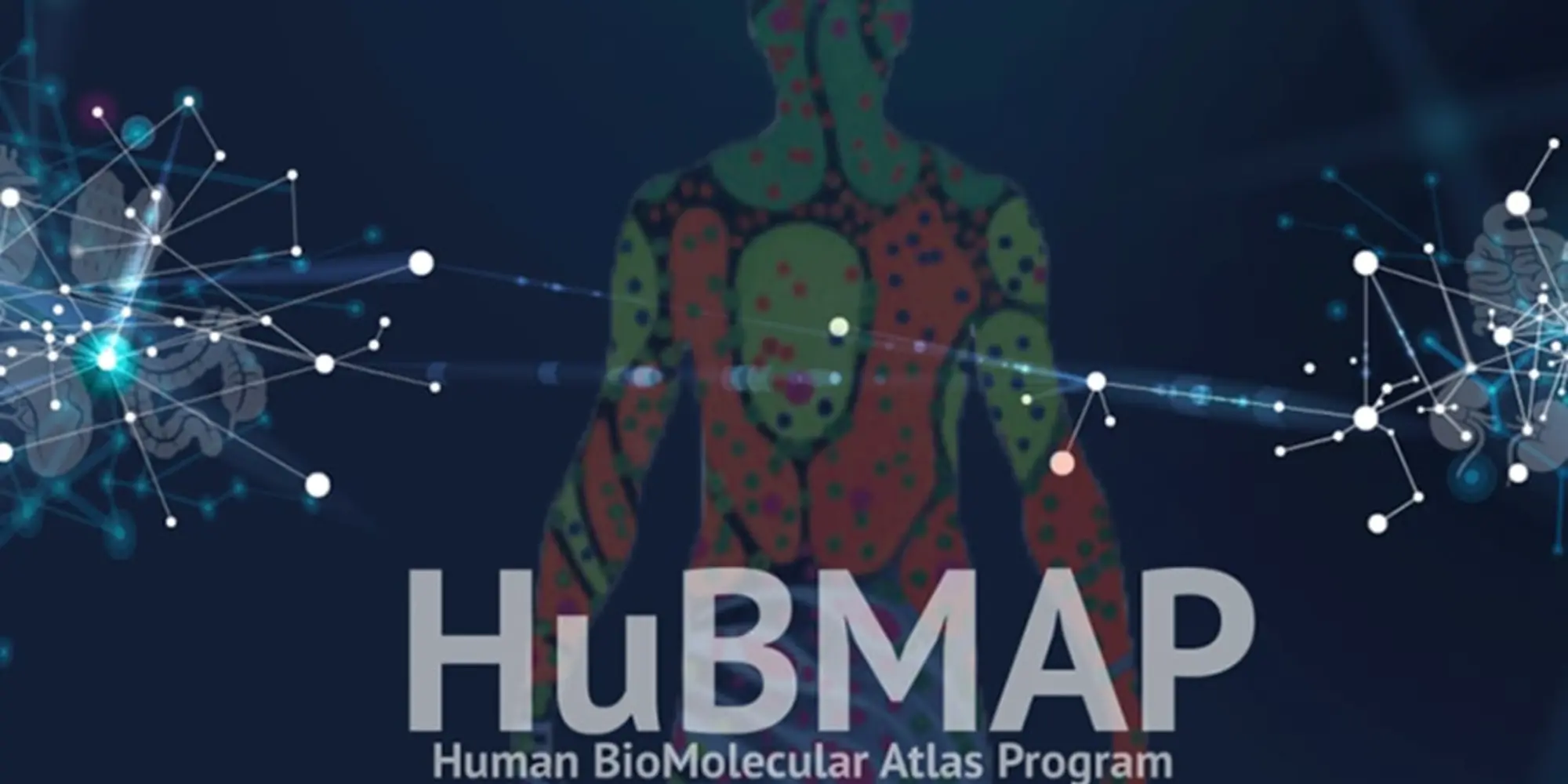 Human Body Atlas 900x600 Min .webp?itok=JPpWye3g