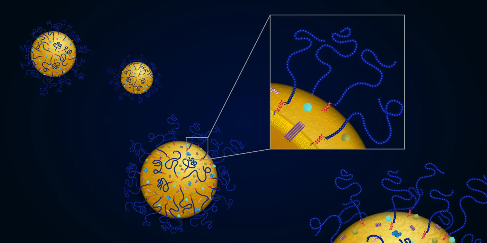 exosome-tech-2000x1000.jpg