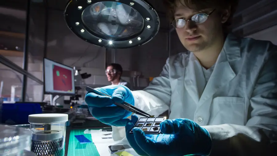Image of researchers working with a chip