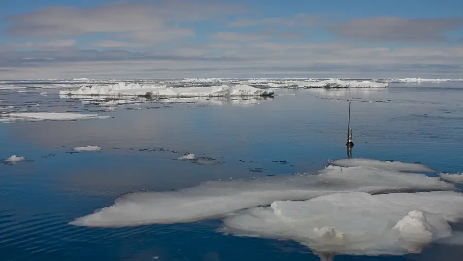 An Argo NEMO float bobs among ice on the ocean's surface.