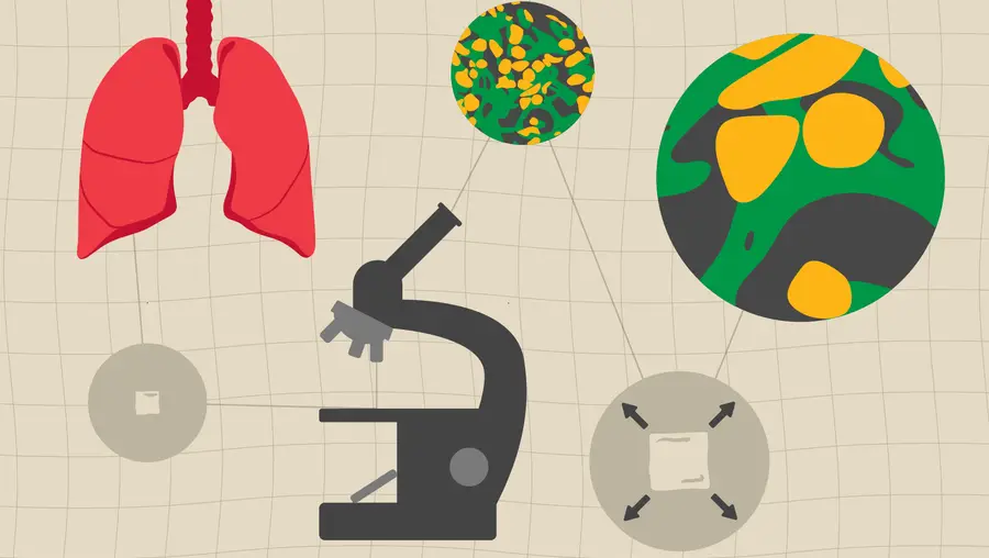 an illustration showing lungs, a microscope and an expanded view of cells 