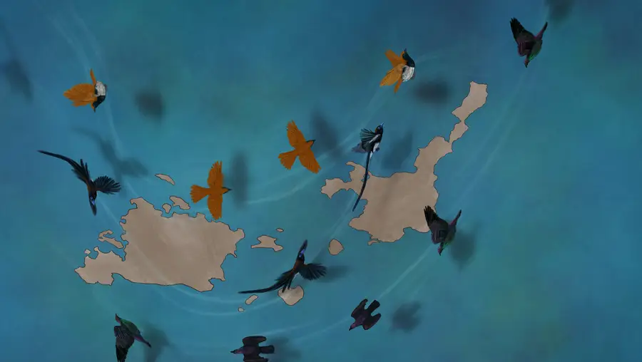 illustration by Maayan Harel