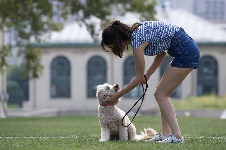 A woman walks her dog on CMU campus. 