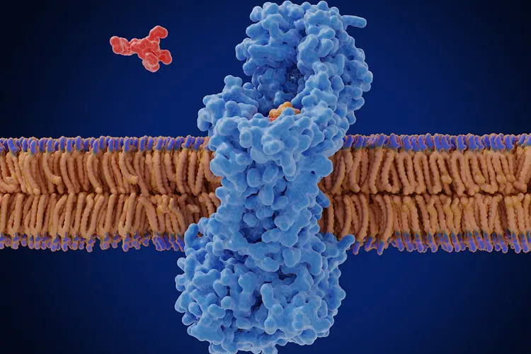 Illustration of a receptor sticking out of a cell membrane with a red molecule approaching the membrane.