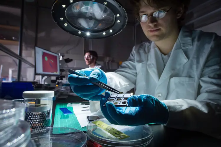 Image of researchers working with a chip