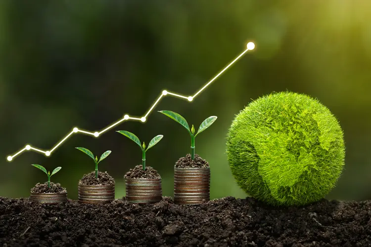 A stock image representing sustainability and growth.