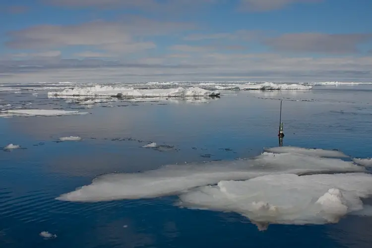 An Argo NEMO float bobs among ice on the ocean's surface.