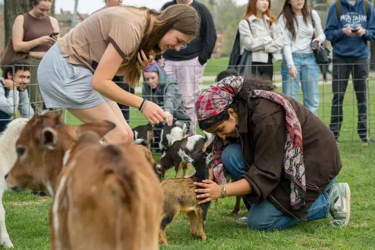 CMU students interact with animals at a petting zoo on campus.
