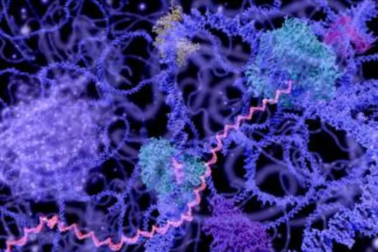 Image Multi-colored illustration of DNA in the nucleus of a cell. 